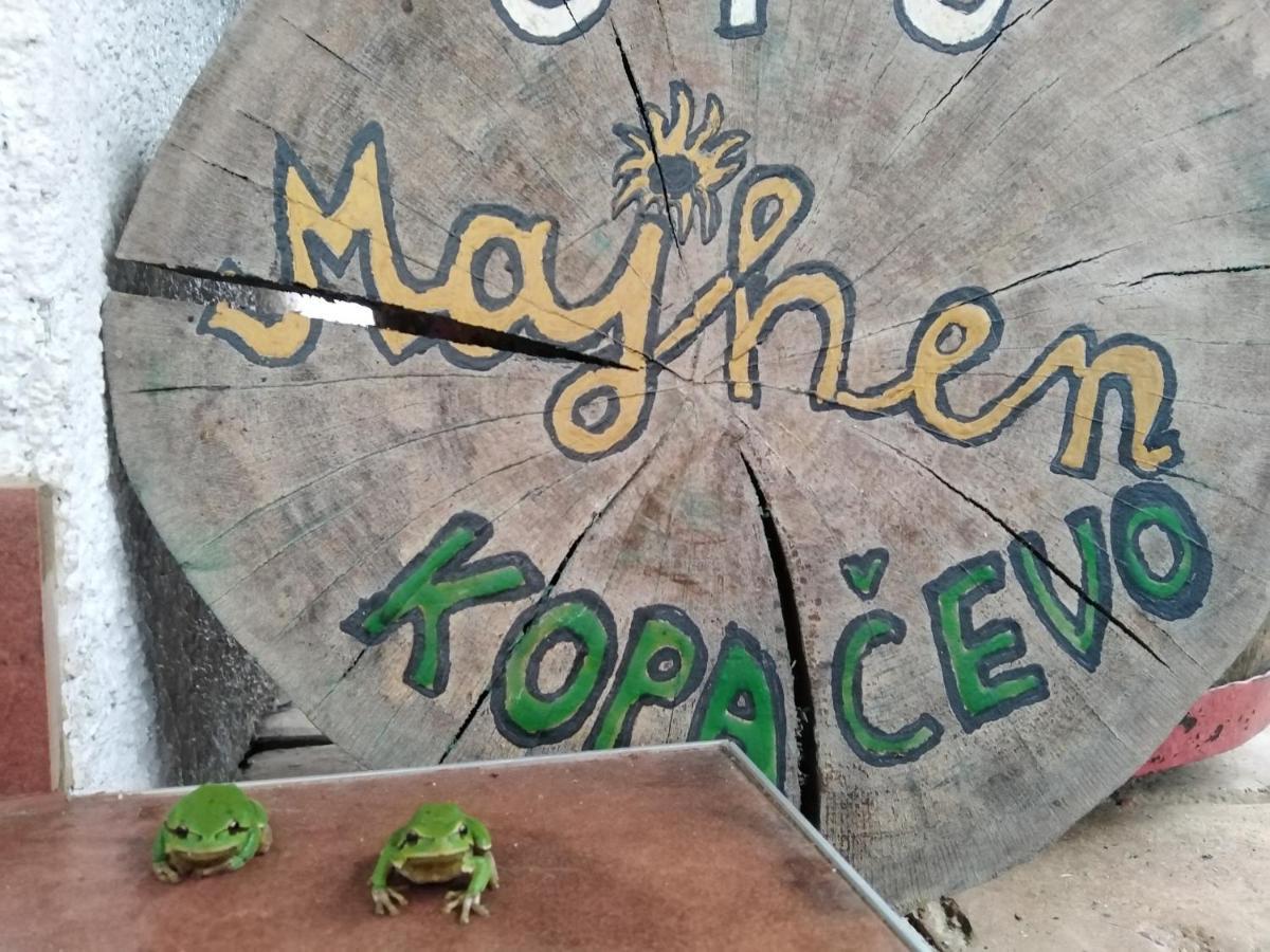 B&B Majhen Kopacevo Εξωτερικό φωτογραφία