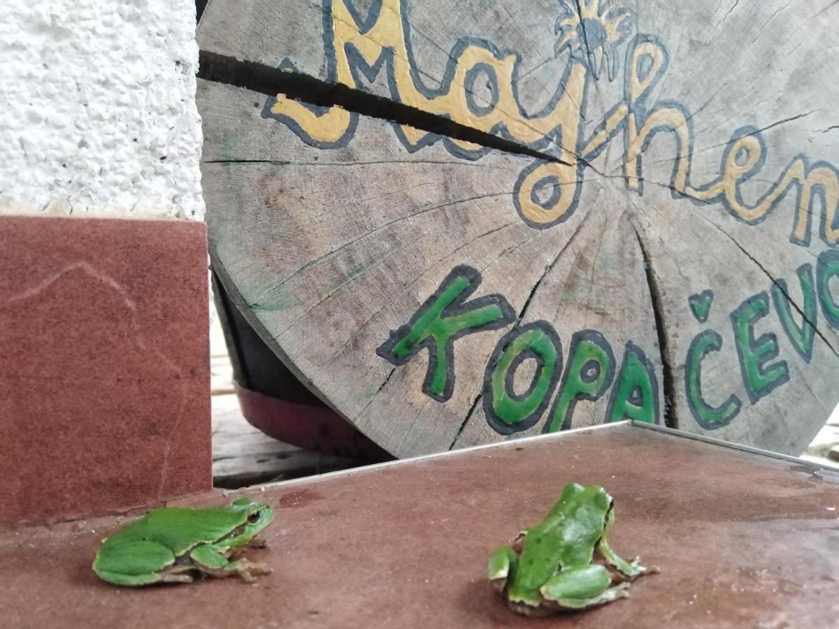 B&B Majhen Kopacevo Εξωτερικό φωτογραφία