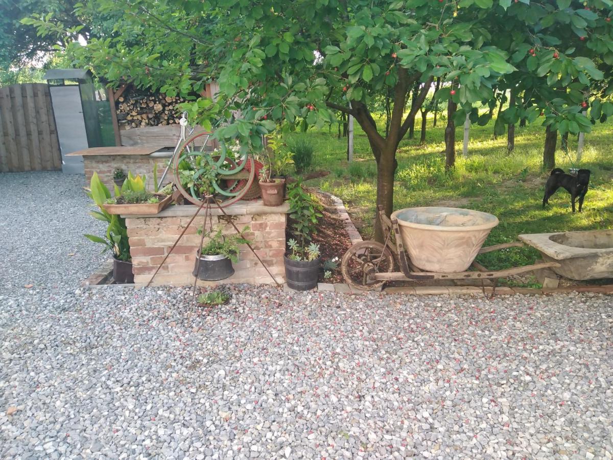 B&B Majhen Kopacevo Εξωτερικό φωτογραφία