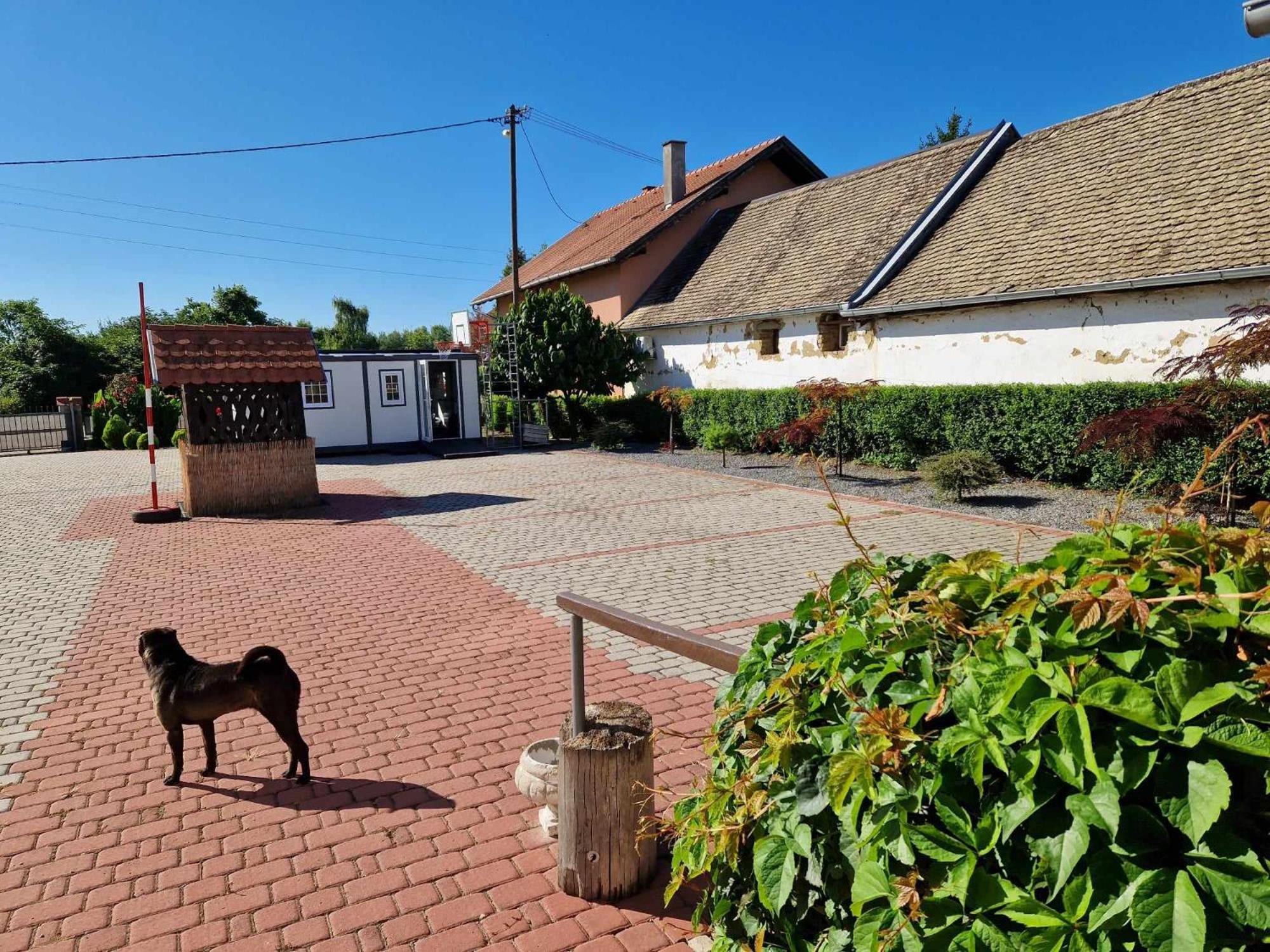 B&B Majhen Kopacevo Εξωτερικό φωτογραφία