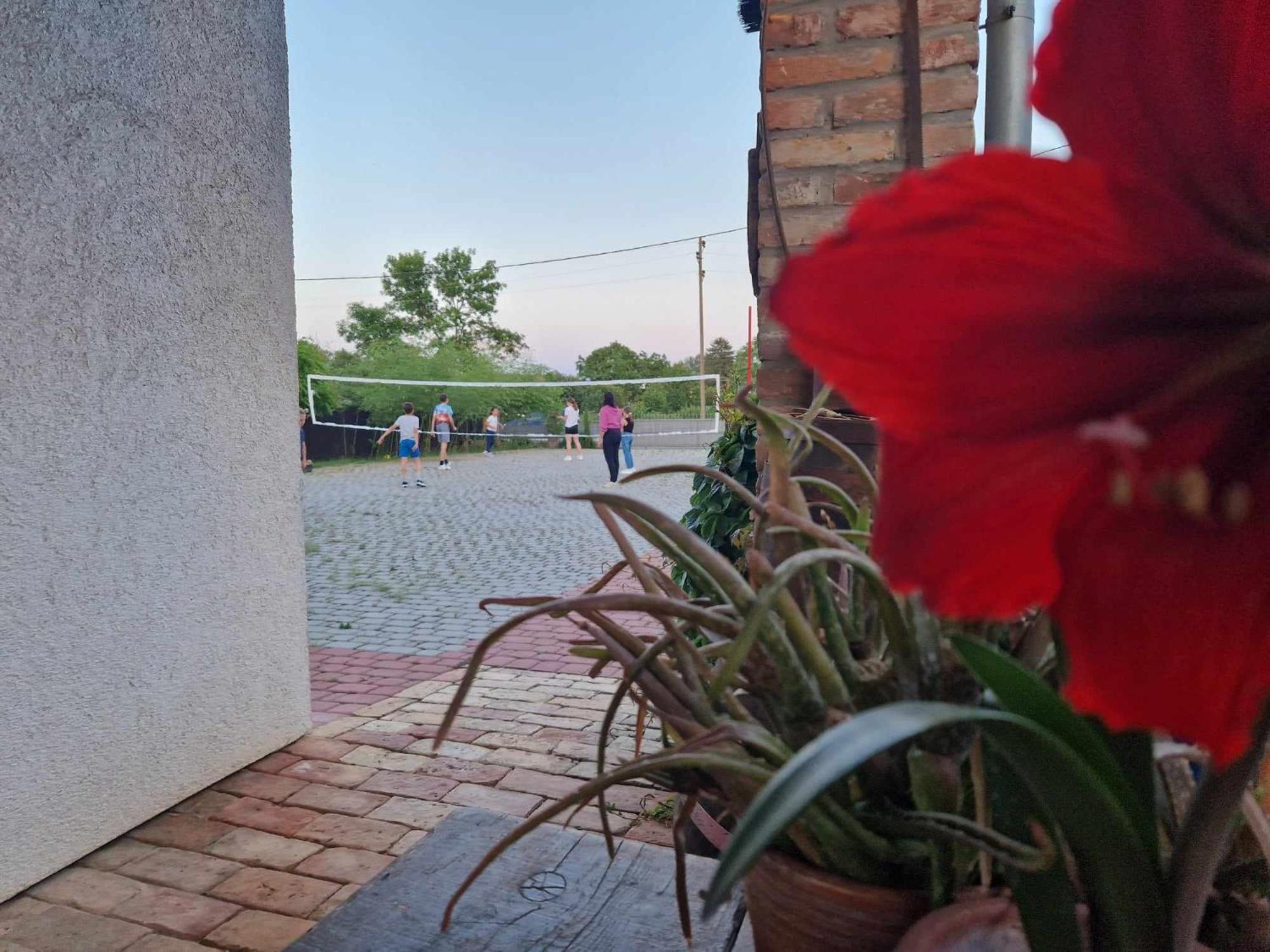 B&B Majhen Kopacevo Εξωτερικό φωτογραφία